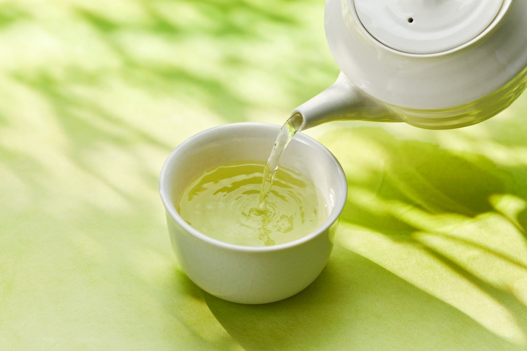 煎茶って何？緑茶と何が違うの？｜意外と知らない煎茶の定義