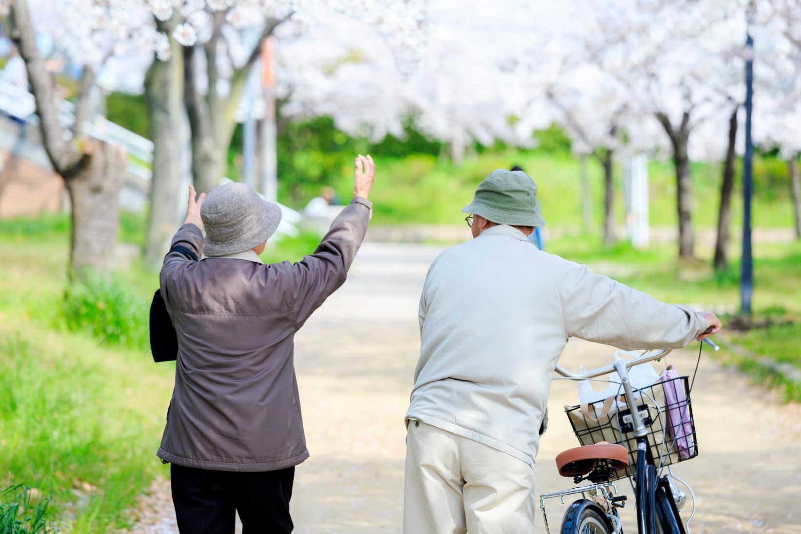 長寿のお祝い完全ガイドと年齢早見表：年齢・由来・海苔ギフトで伝える感謝の気持ち