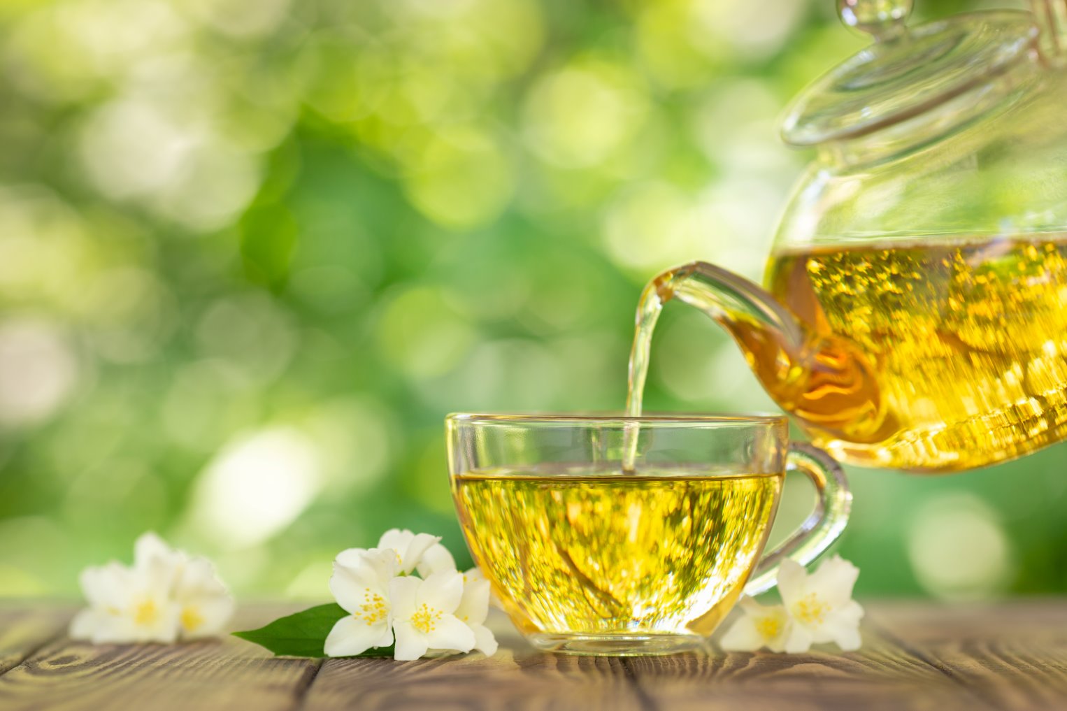 AdobeStock_271025629_1.jpg?