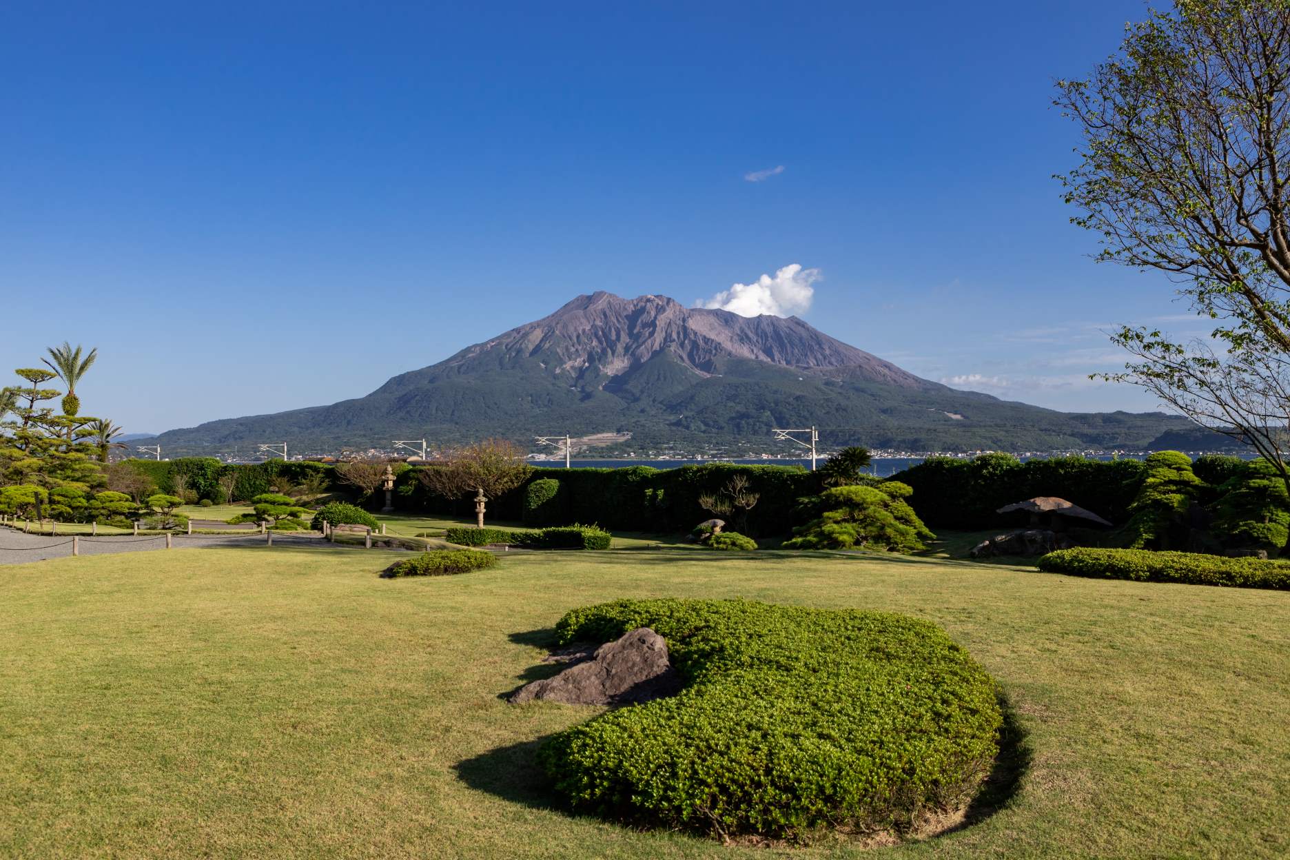 実は全国2位！鹿児島茶が全国有数の生産量を誇る理由
