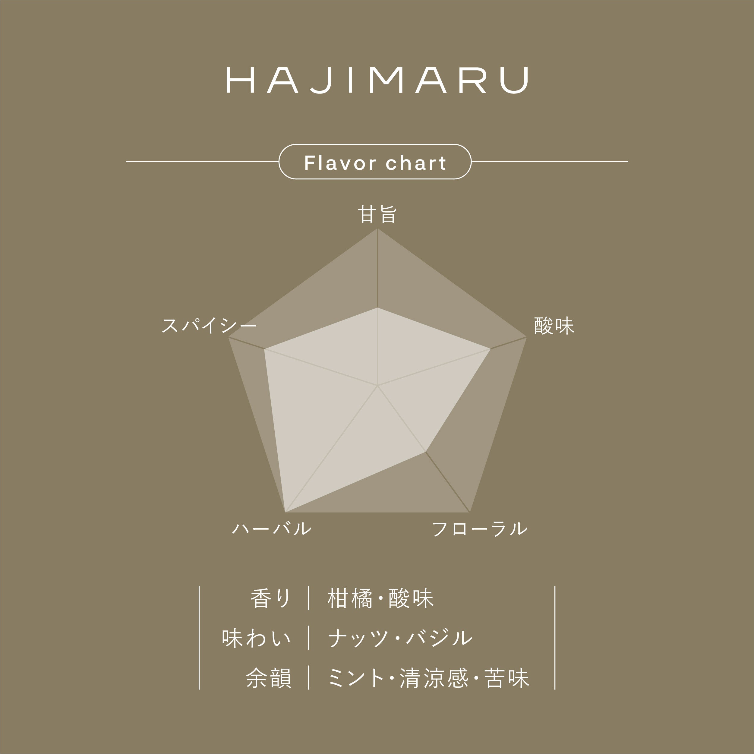 Gyokuro Karigane Hoji Herbal Tea<br>HAJIMARU 7 Tea Bags