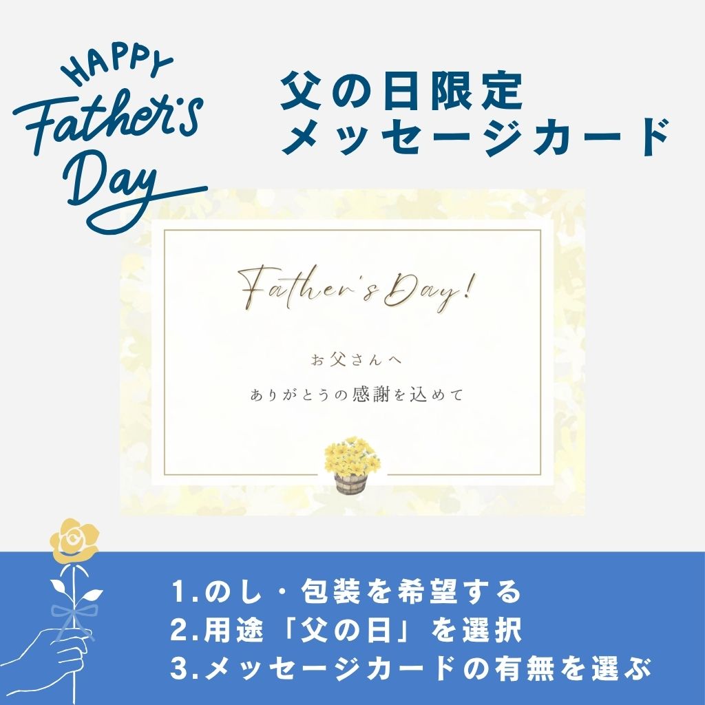 のりせんべい３個セット